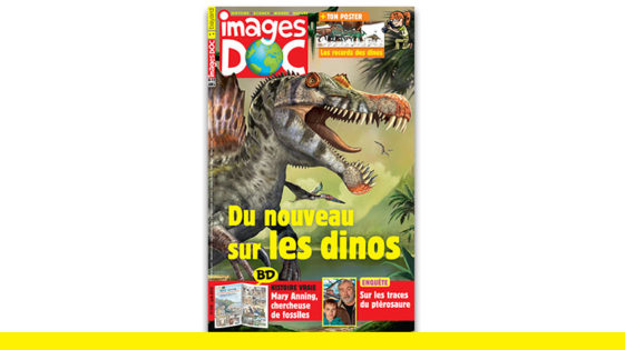 Images Doc : du nouveau sur les dinosaures !