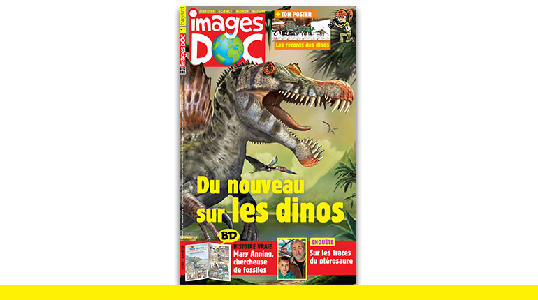 Images Doc : du nouveau sur les dinosaures !