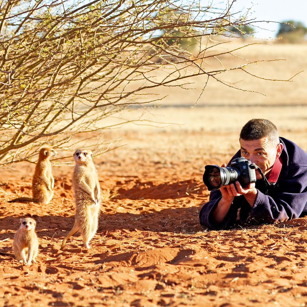 Le métier de photographe animalier