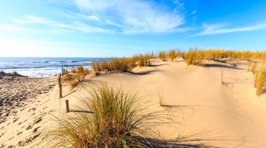 Côte atlantique en famille : La Palmyre