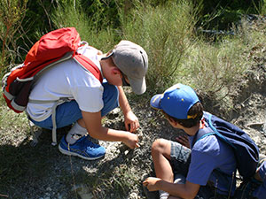 Vacances en Provence, les enfants aimeront
