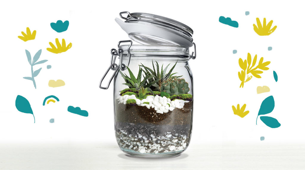 “Fabrique ton terrarium”, J’aime lire Max n°257, mai 2020. Texte : Juliette Sausse. Photo : AdobeStock