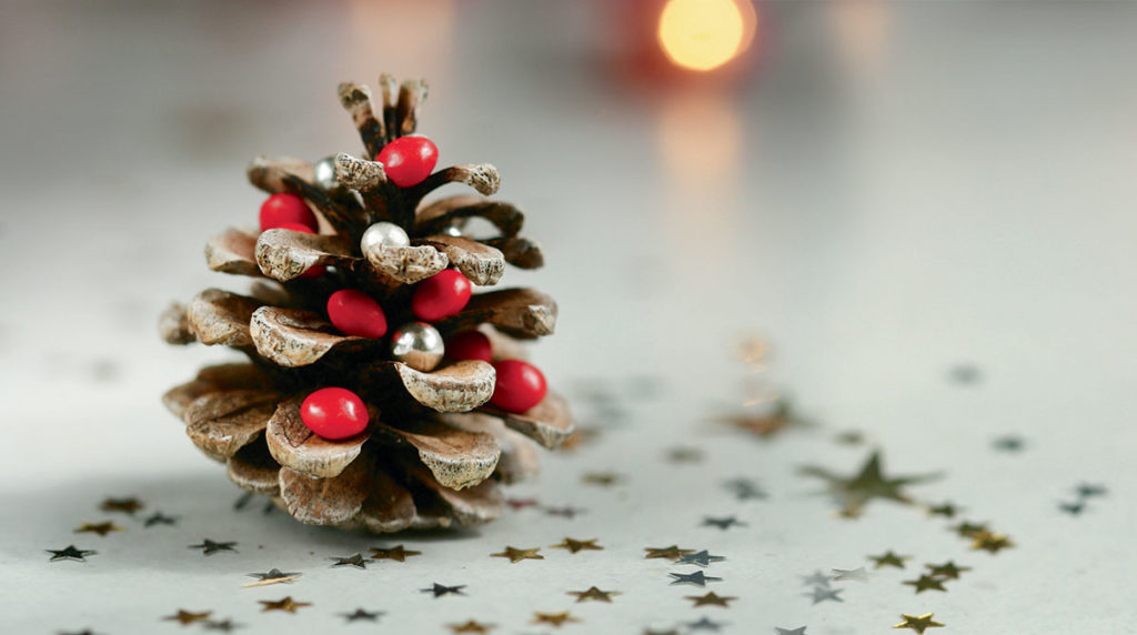 Bricolages de Noël. Pomme d'Api.