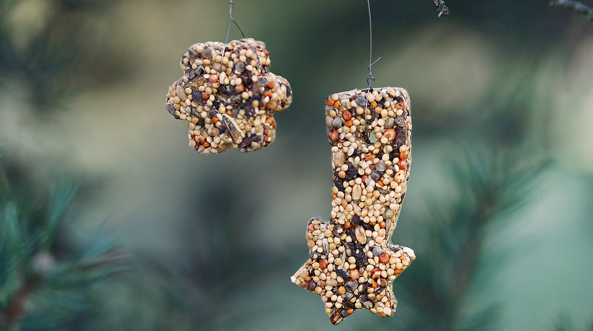 “Des petits gâteaux pour les oiseaux”, supplément pour les parents du magazine Popi n°365, janvier 2017. Conception, réalisation et photo : Raphaële Vidaling.