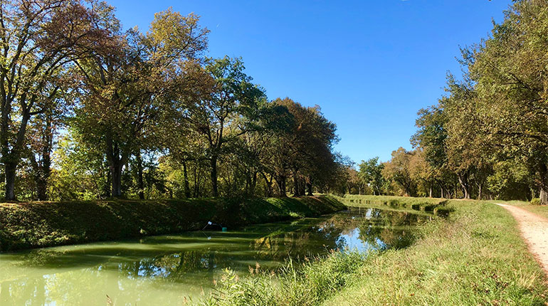 Master Class écriture - Canal du Midi