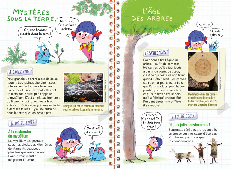 Le mycélium aide les arbres à se nourrir. Pour connaître l'âge d'un arbre coupé, il suffit de compter les cernes qu'il a fabriqués à partir du cœur. Supplément pour les parents du magazine Pomme d'Api n°675, mai 2022. Illustrations : Fred Benaglia.