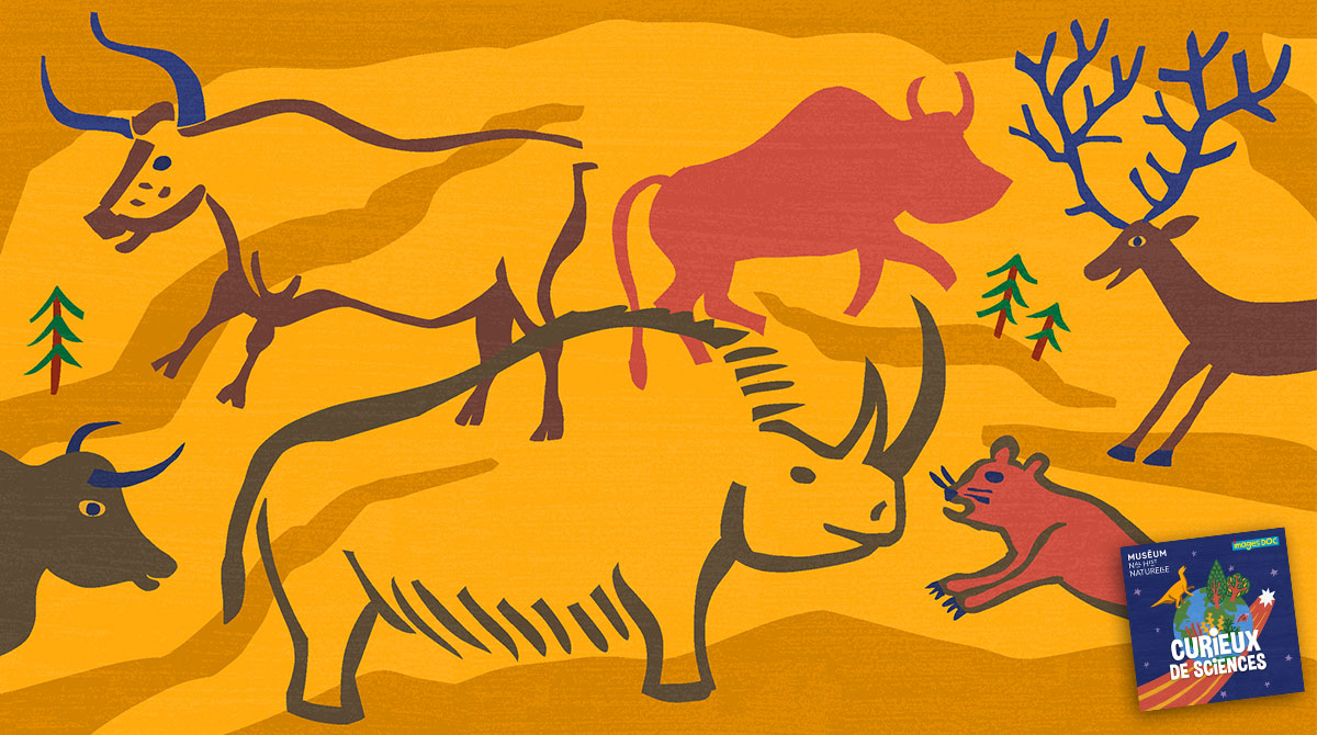Podcast Curieux de sciences : Pourquoi les humains préhistoriques dessinaient des animaux ?