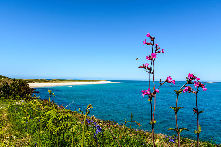 Séjour îles Anglo-Normandes