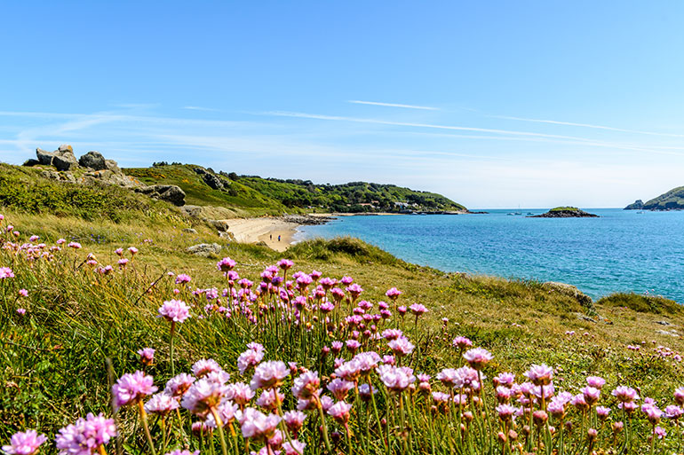 Séjour îles Anglo-Normandes