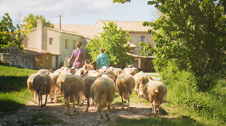 Séjour à la ferme des Amanins