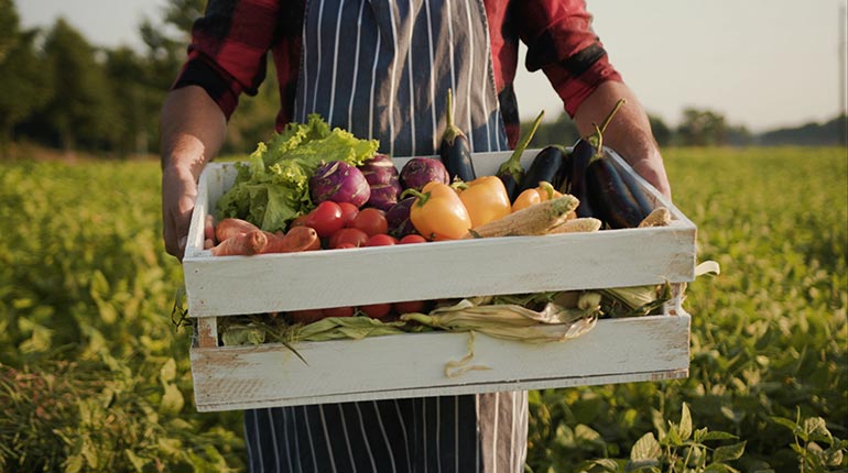 Séjour à la ferme des Amanins