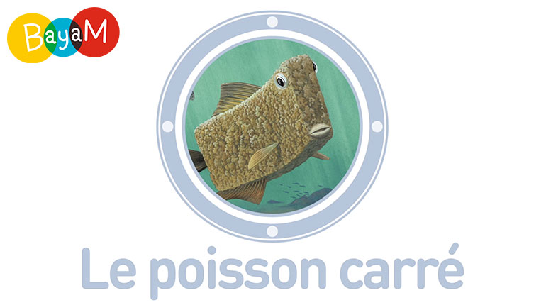 Le poisson carré des Animaux à la loupe ! Une série de vidéos documentaires tirée de la rubrique du magazine Youpi et produite en vidéos par le Studio BayaM. À regarder le 1er avril  dans la section "Découvrir" de l'appli BayaM.