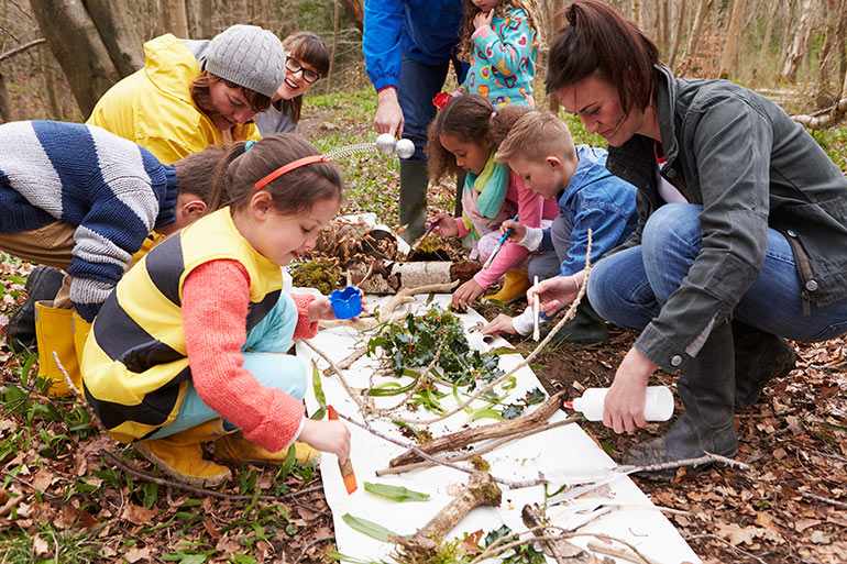 Journée stage de la forêt avec AccroCamp