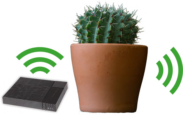 Le cactus. Un réseau Wi-Fi végétal, article extrait du magazine Okapi n°1197, 1er avril 2024. Photo : Adobestock.