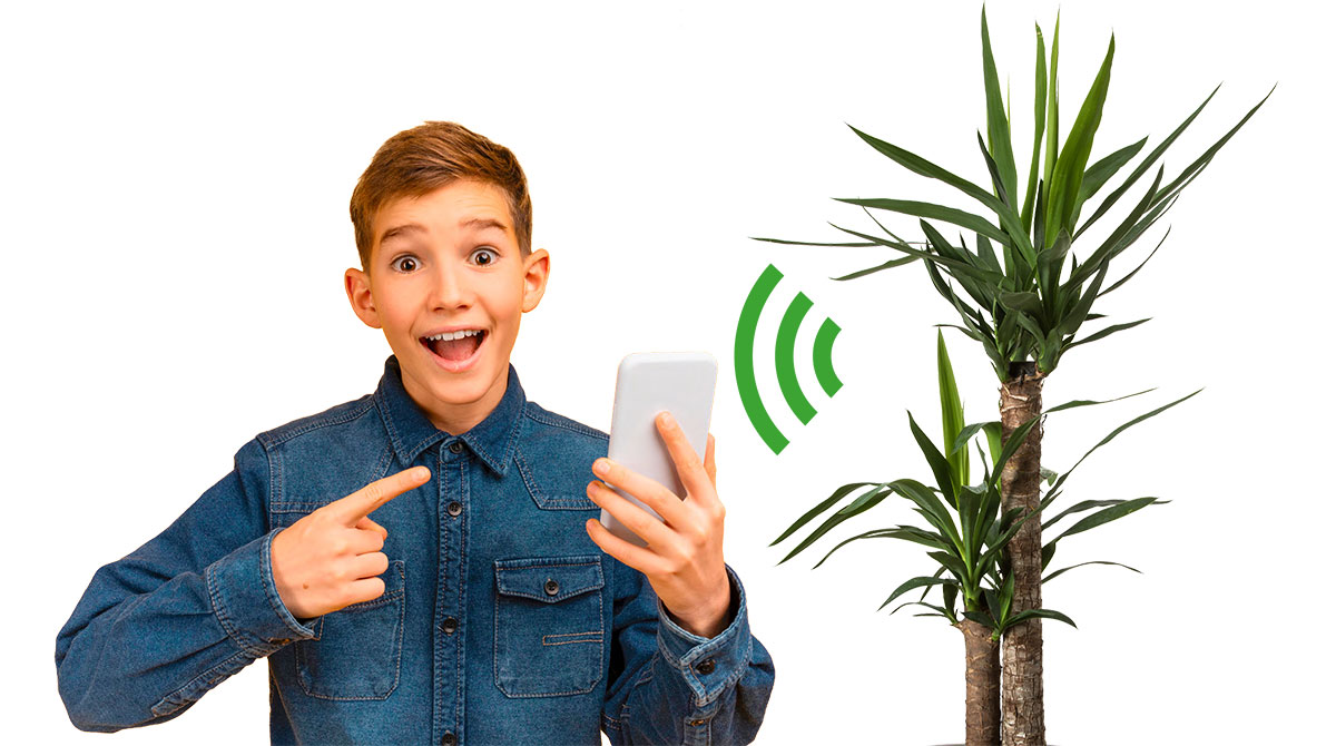 Un réseau Wi-Fi végétal, article extrait du magazine Okapi n°1197, 1er avril 2024. © Photo : Adobestock.