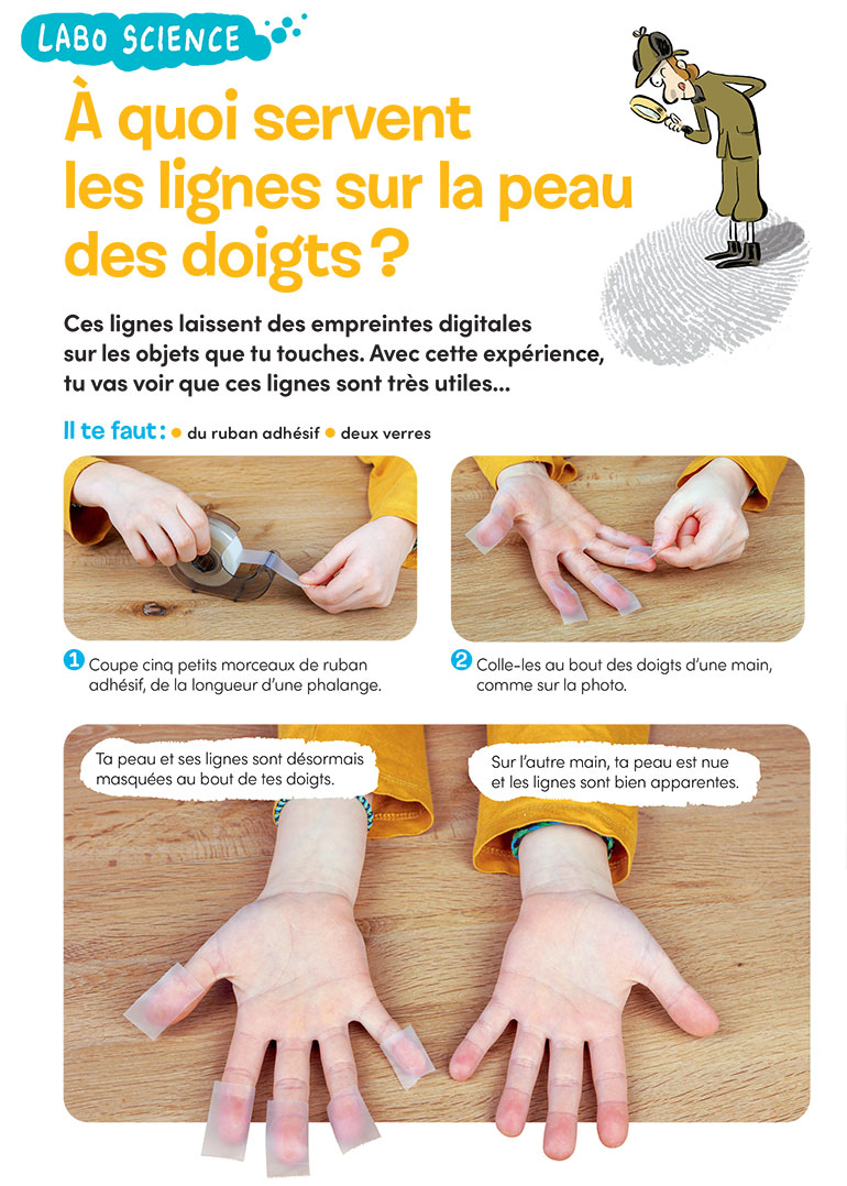 Labo science : À quoi servent les lignes sur la peau des doigts ?, Images Doc n°425, mai 2024. Photos : Rebecca Josset. Illustrations : Jérôme Sié. Schémas : Sophie Froger.