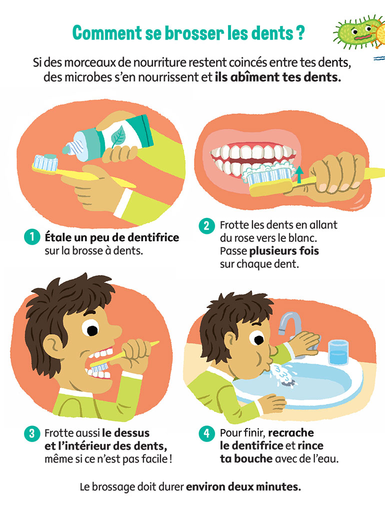 Téléchargez le tuto pour les enfants « Comment se brosser les dents ? » offert par le magazine Youpi Doc.