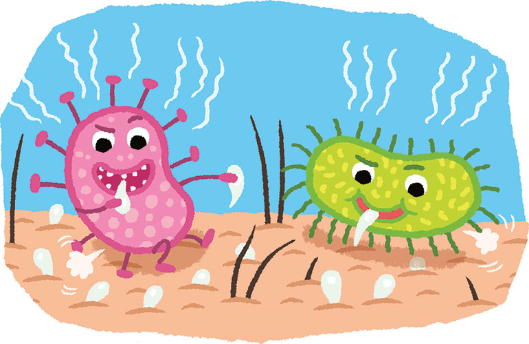 Les microbes qui vivent sur la peau se nourrissent de sueur. Quand ils digèrent, ils dégagent l’odeur de transpiration.