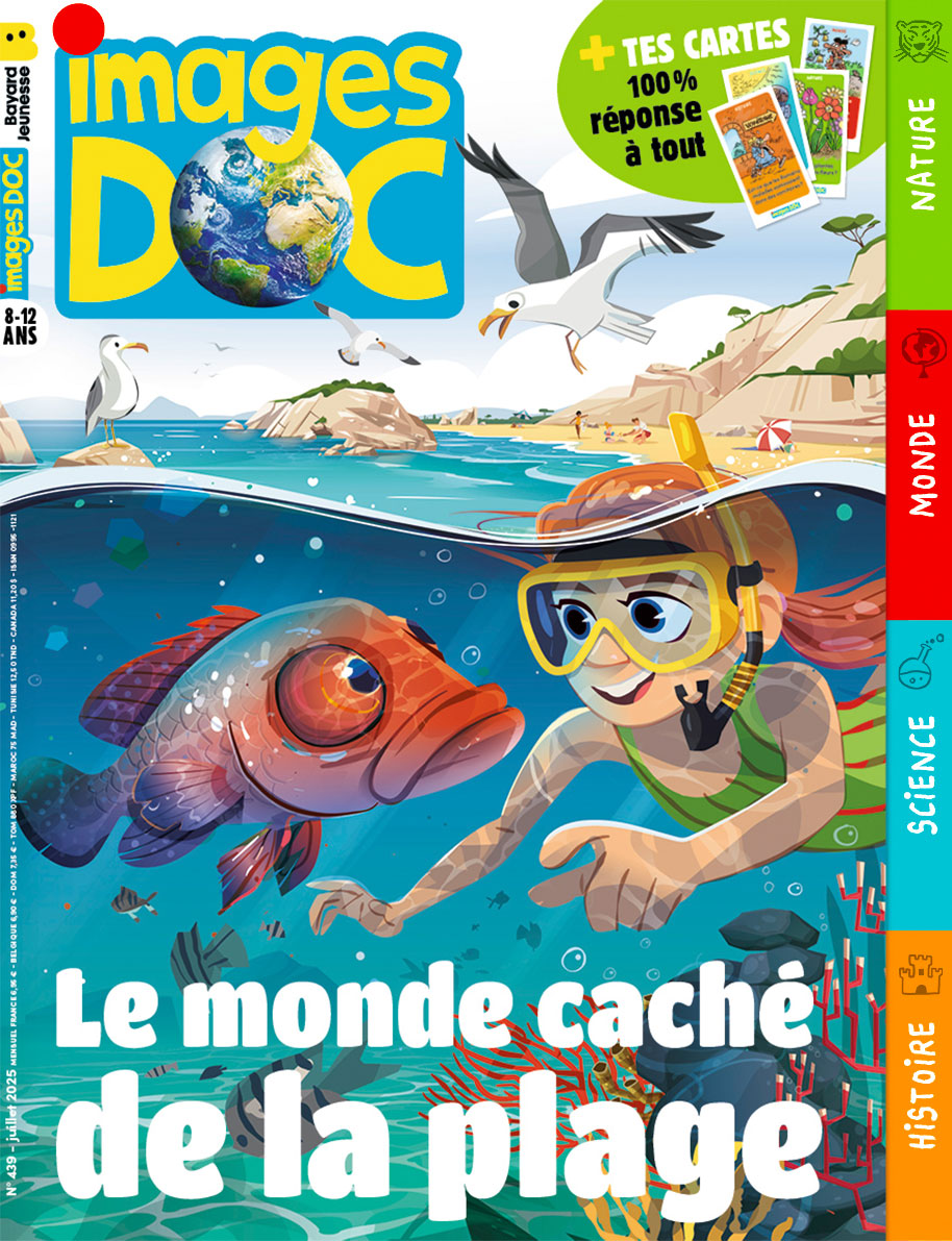 Couverture du magazine Images Doc n°439, juillet 2025 - Le monde caché de la plage.