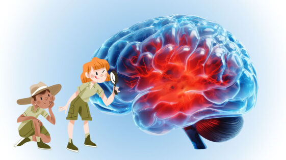 Le fonctionnement du cerveau expliqué aux adolescents