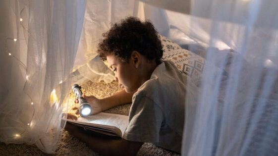 11 livres à mettre sous le sapin ou à lire sous la couette