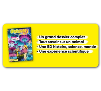 DiscoveryBox - 1 year - 10 issues