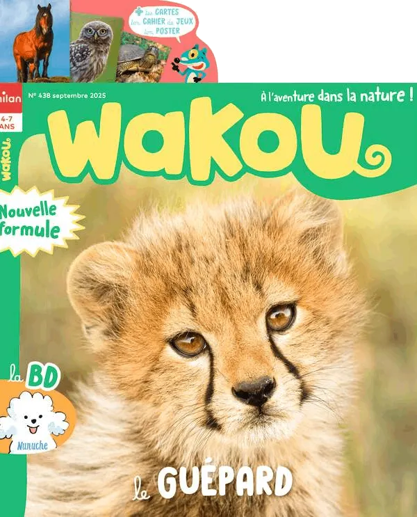 Produit Wakou Image