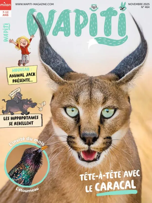Produit Wapiti Image