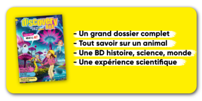 DiscoveryBox - 1 year - 10 issues