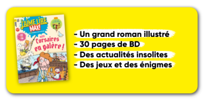 J'aime lire Max - 1 an - 12 n°
