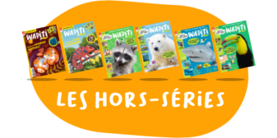Hors-séries Wapiti - 6 n° par an