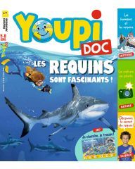 Youpi Doc + Notre sélection audio