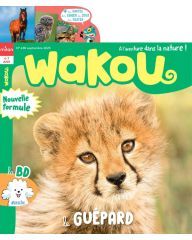 Wakou