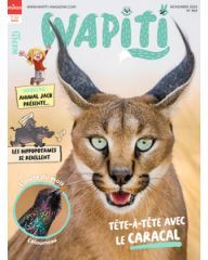 Wapiti