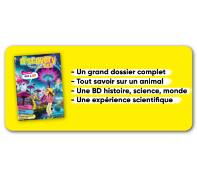 DiscoveryBox - 1 year - 10 issues