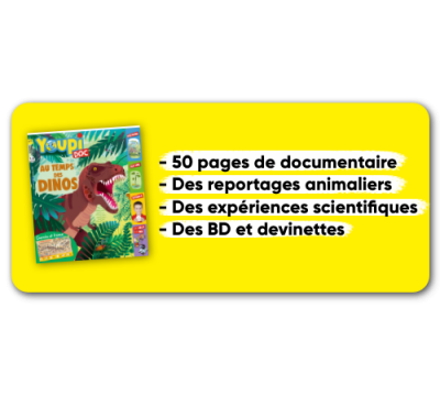 Youpi Doc - 12 n° par an