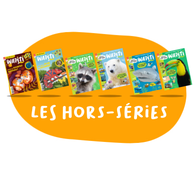 Hors-séries Wapiti - 6 n° par an
