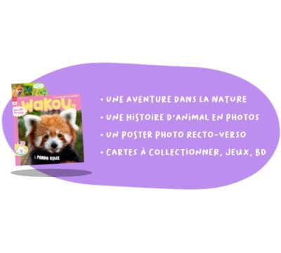 Wakou - 12 n° par an