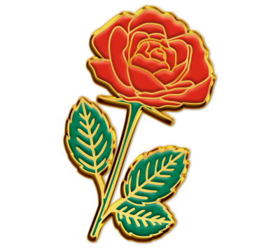 Pin’s rose (Offert)